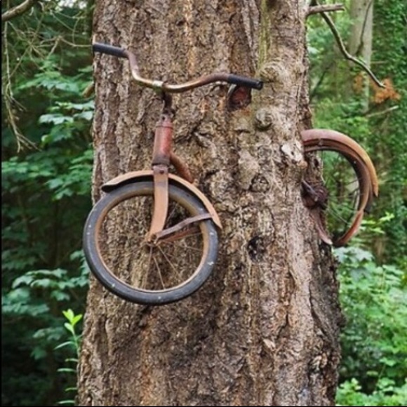 🙂 - Picture 3 of 15